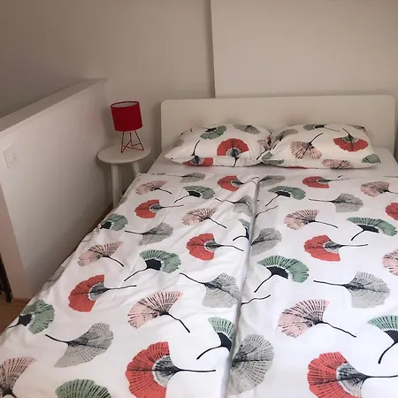 Apartment Gavran